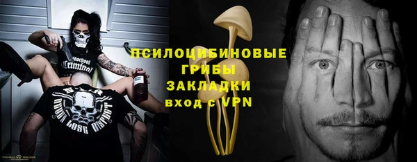 трава Верея
