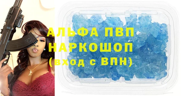 сатива Костерёво